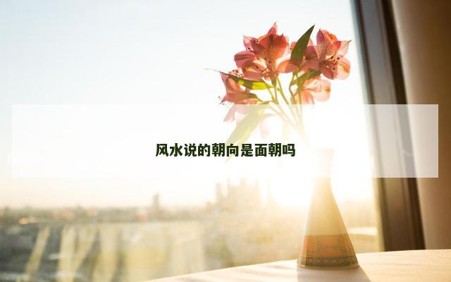 风水说的朝向是面朝吗