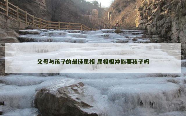 父母与孩子的最佳属相 属相相冲能要孩子吗