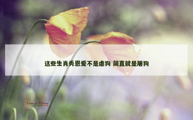 这些生肖秀恩爱不是虐狗 简直就是屠狗