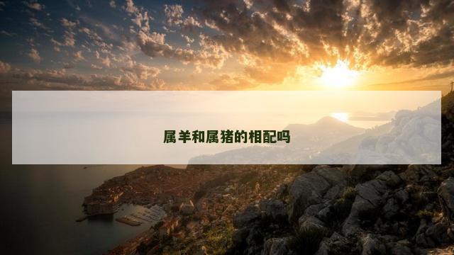 属羊和属猪的相配吗