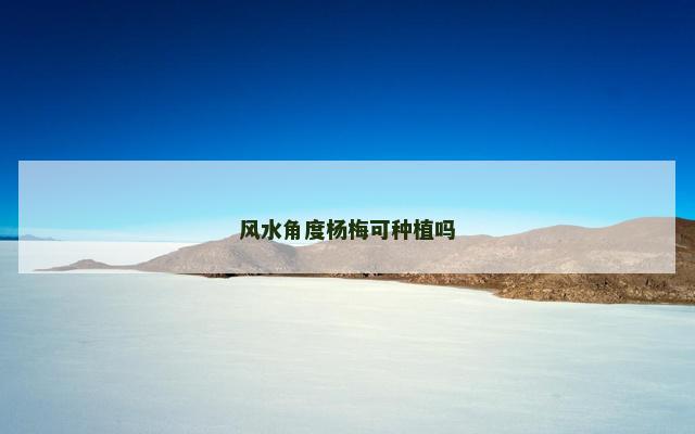 风水角度杨梅可种植吗