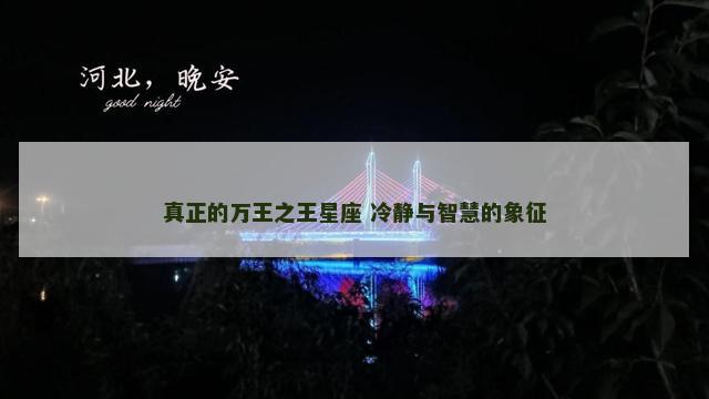 真正的万王之王星座 冷静与智慧的象征
