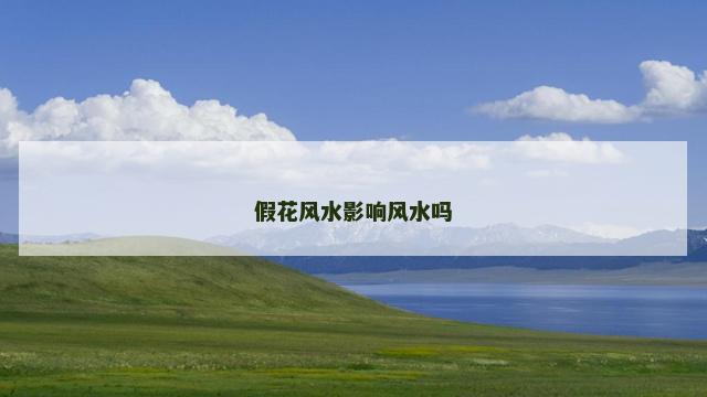 假花风水影响风水吗