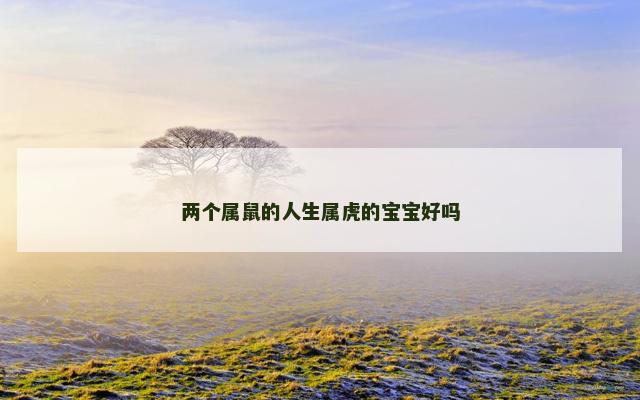 两个属鼠的人生属虎的宝宝好吗