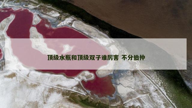 顶级水瓶和顶级双子谁厉害 不分伯仲