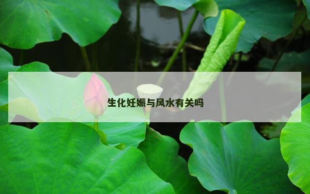 生化妊娠与风水有关吗