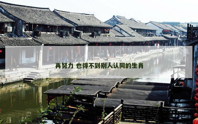 再努力 也得不到别人认同的生肖