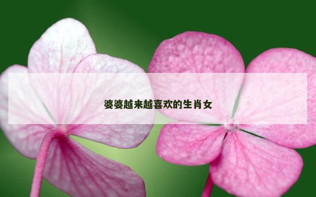 婆婆越来越喜欢的生肖女