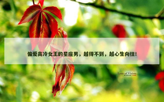偏爱高冷女王的星座男，越得不到，越心生向往！