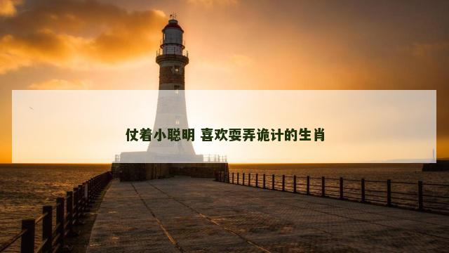仗着小聪明 喜欢耍弄诡计的生肖