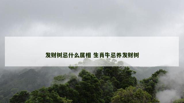 发财树忌什么属相 生肖牛忌养发财树