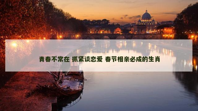 青春不常在 抓紧谈恋爱 春节相亲必成的生肖