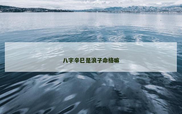 八字辛巳是浪子命格嘛