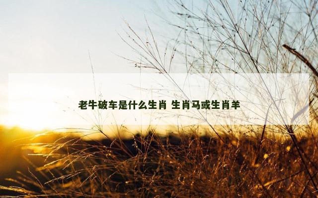 老牛破车是什么生肖 生肖马或生肖羊