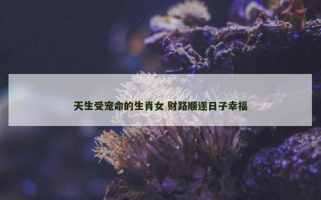 天生受宠命的生肖女 财路顺遂日子幸福