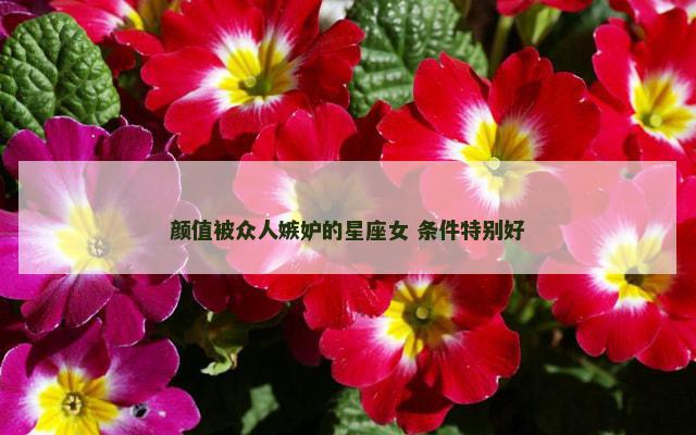 颜值被众人嫉妒的星座女 条件特别好
