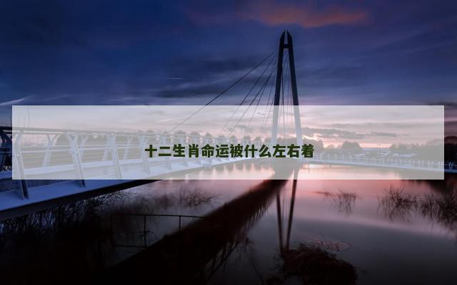 十二生肖命运被什么左右着