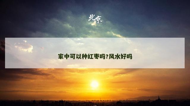 家中可以种红枣吗?风水好吗