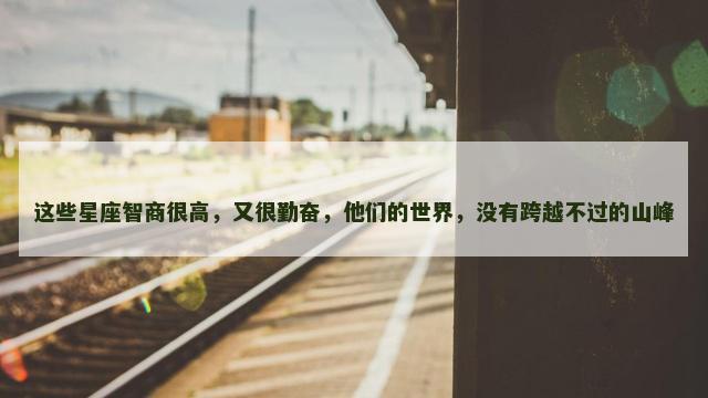 这些星座智商很高，又很勤奋，他们的世界，没有跨越不过的山峰