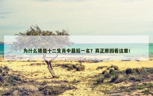 为什么猪是十二生肖中最后一名？真正原因看这里！