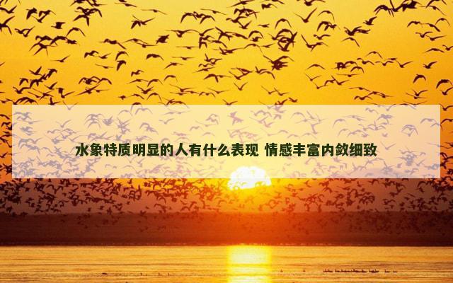 水象特质明显的人有什么表现 情感丰富内敛细致