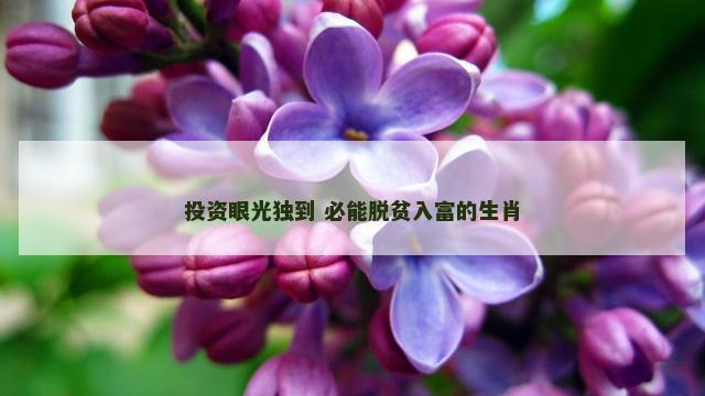 投资眼光独到 必能脱贫入富的生肖