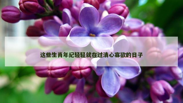 这些生肖年纪轻轻就在过清心寡欲的日子