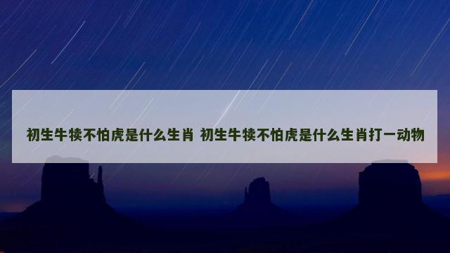 初生牛犊不怕虎是什么生肖 初生牛犊不怕虎是什么生肖打一动物