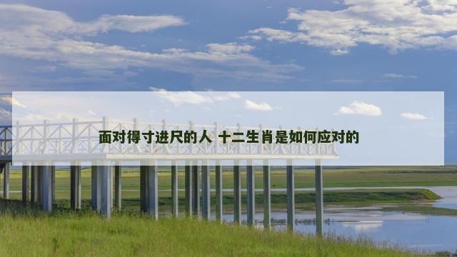 面对得寸进尺的人 十二生肖是如何应对的