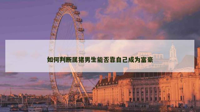 如何判断属猪男生能否靠自己成为富豪