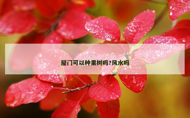 屋门可以种果树吗?风水吗