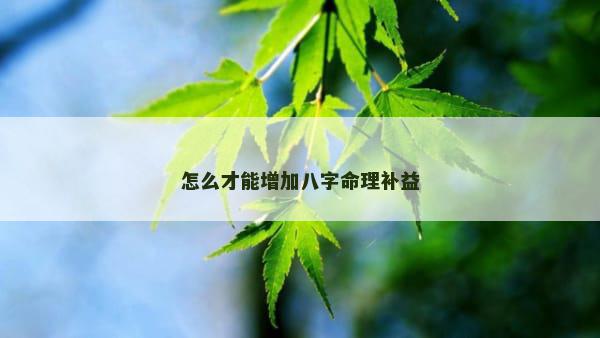 怎么才能增加八字命理补益