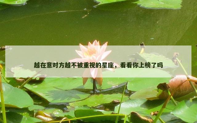 越在意对方越不被重视的星座，看看你上榜了吗
