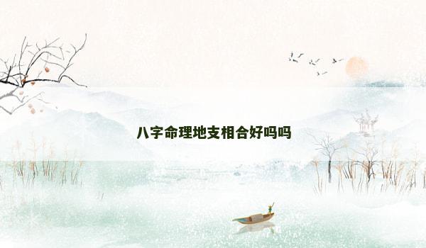 八字命理地支相合好吗吗