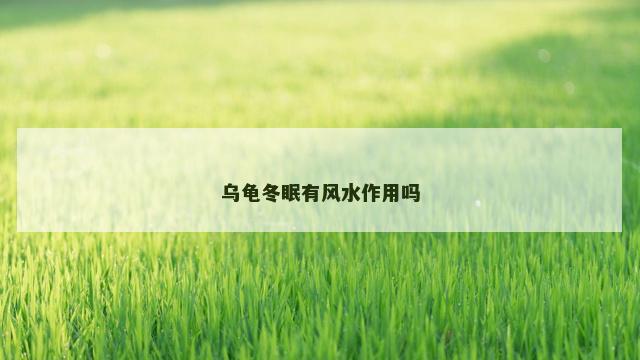 乌龟冬眠有风水作用吗