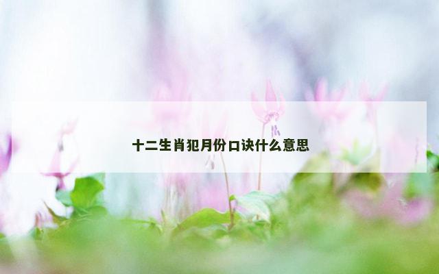 十二生肖犯月份口诀什么意思