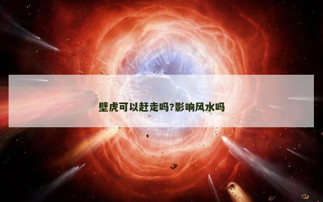 壁虎可以赶走吗?影响风水吗