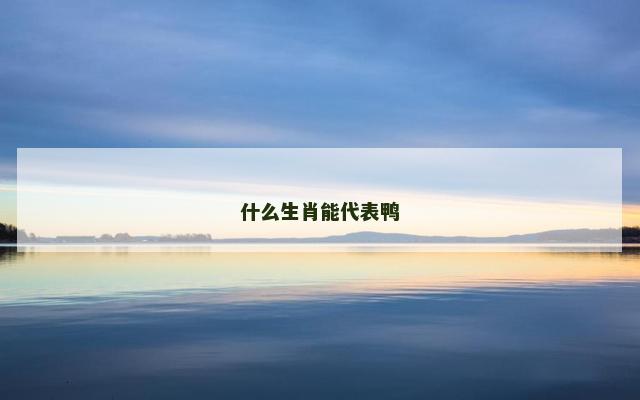 什么生肖能代表鸭