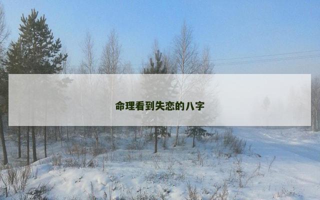 命理看到失恋的八字