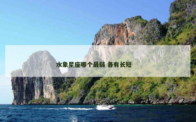 水象星座哪个最弱 各有长短 　　