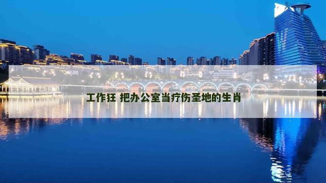 工作狂 把办公室当疗伤圣地的生肖