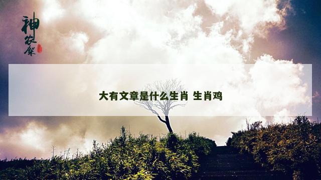 大有文章是什么生肖 生肖鸡