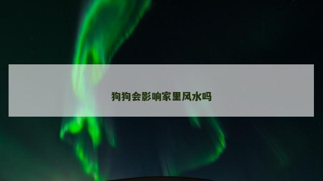 狗狗会影响家里风水吗