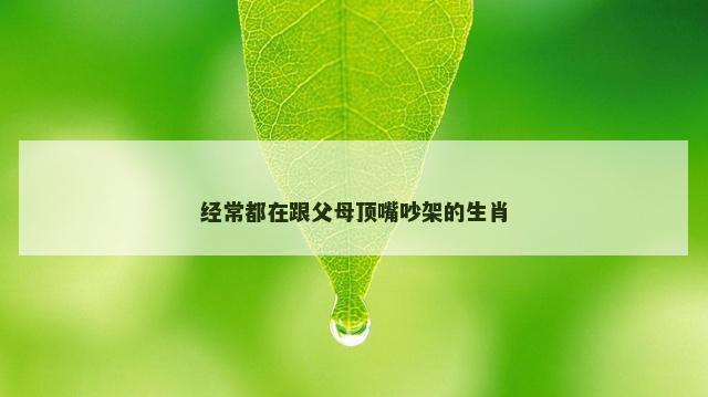 经常都在跟父母顶嘴吵架的生肖