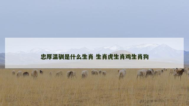 忠厚温驯是什么生肖 生肖虎生肖鸡生肖狗