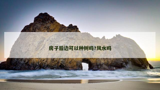 房子后边可以种树吗?风水吗