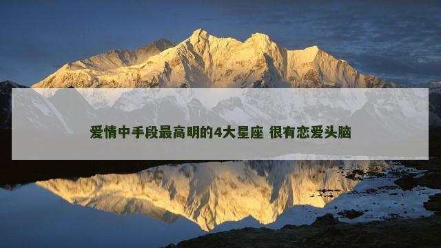 爱情中手段最高明的4大星座 很有恋爱头脑