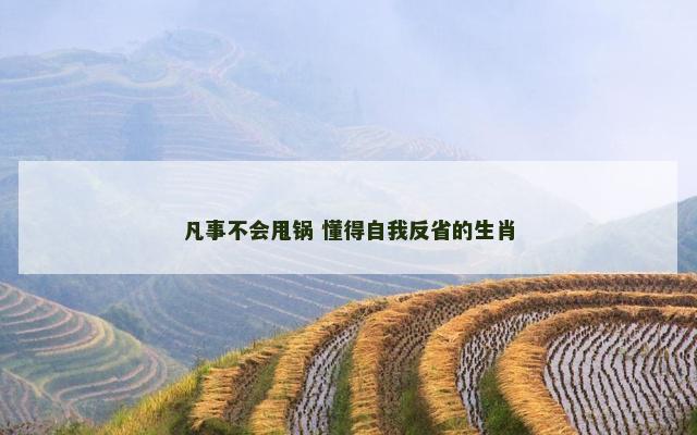 凡事不会甩锅 懂得自我反省的生肖