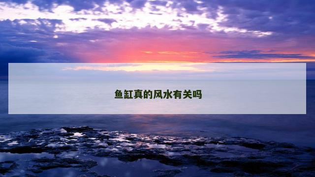 鱼缸真的风水有关吗
