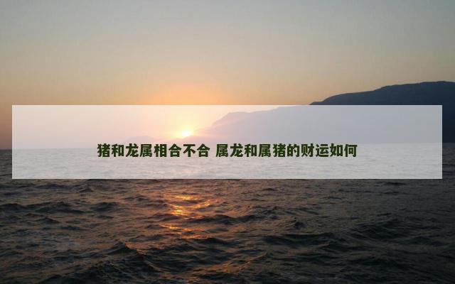 猪和龙属相合不合 属龙和属猪的财运如何